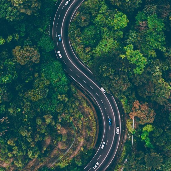 aerial-view-of-road-in-the-middle-of-trees-1173777(1)