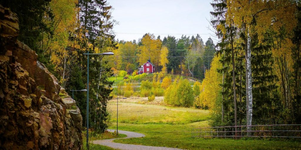 aiva-apsite-YAPHyaDE018-unsplash (1) viileä