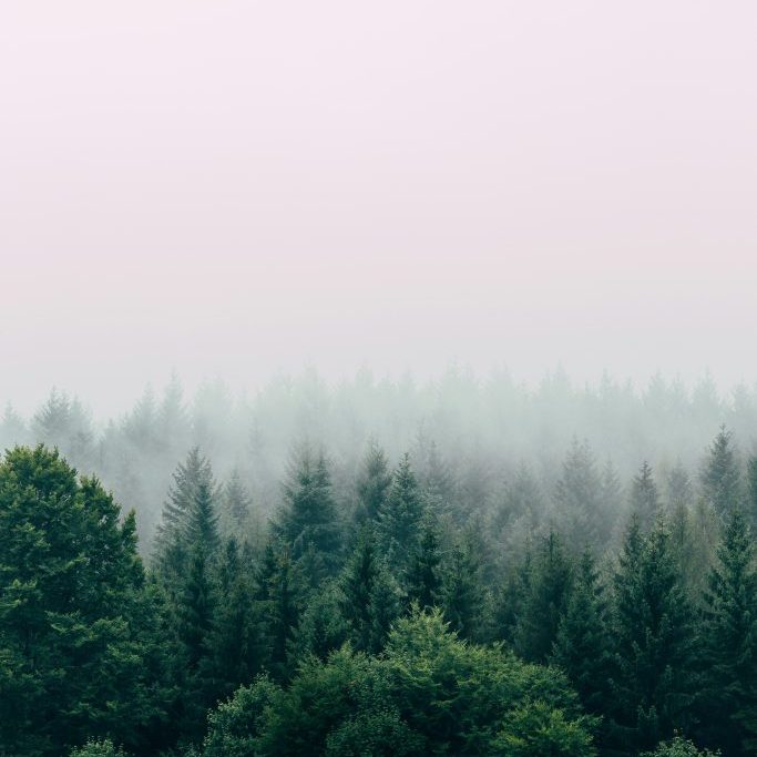 filip-zrnzevic-QsWG0kjPQRY-unsplash