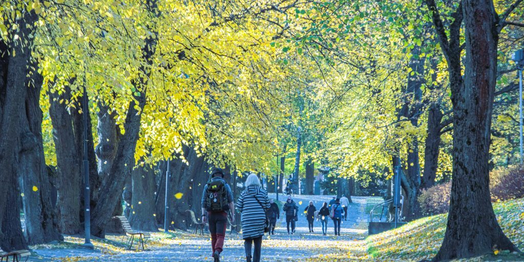 juho-luomala-6tPkUHiRFac-unsplash (1) viileä