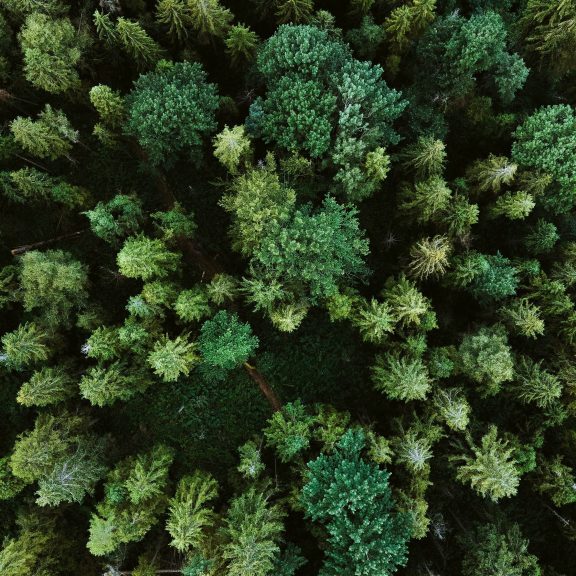 olena-bohovyk-3BlVILvh9hM-unsplash viileä